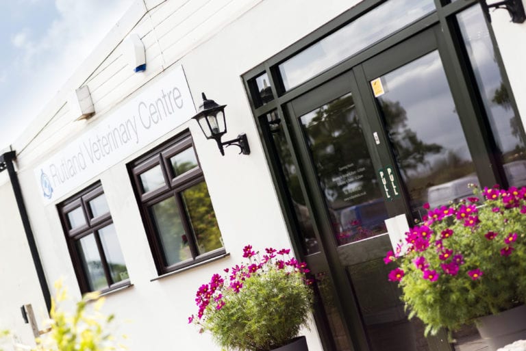 Our Market Harborough Surgery Rutland Vets