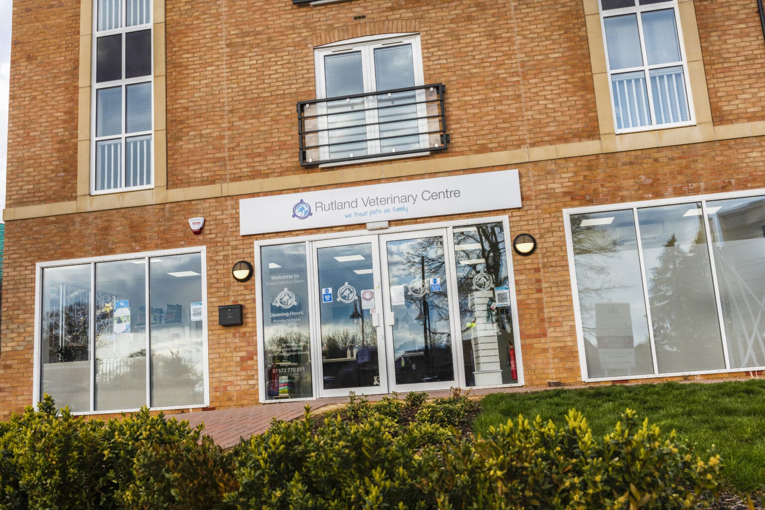 Our Oakham Surgery Rutland Vets